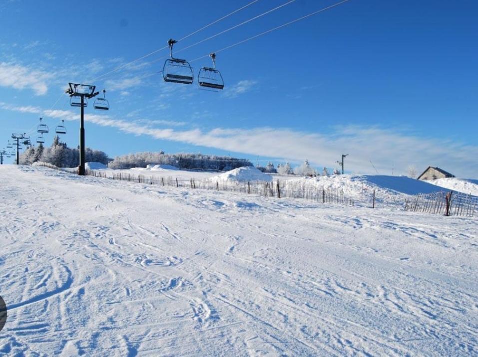 Gite Spa "La Foret Argentee" Proche Gerardmer Laveline-du-Houx Eksteriør billede
