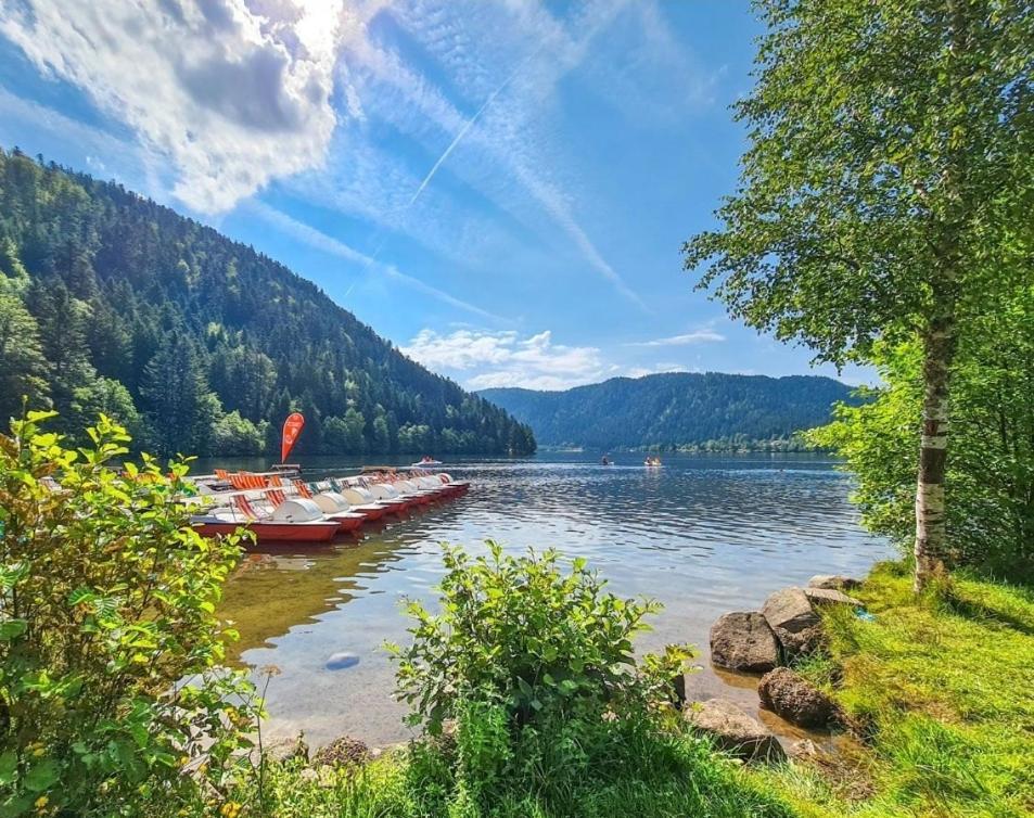 Gite Spa "La Foret Argentee" Proche Gerardmer Laveline-du-Houx Eksteriør billede