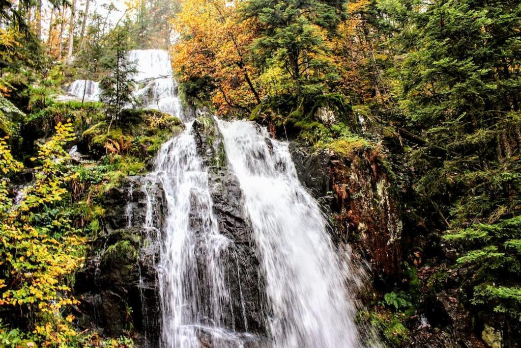 Gite Spa "La Foret Argentee" Proche Gerardmer Laveline-du-Houx Eksteriør billede